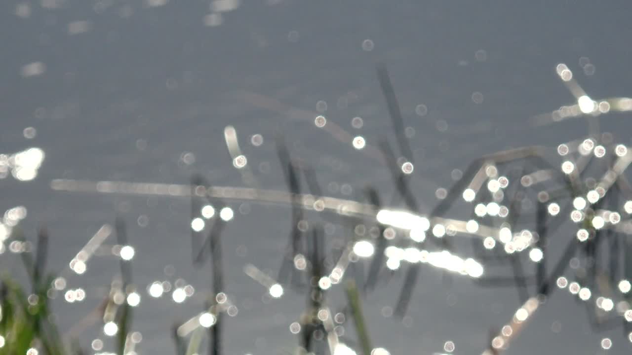 Soft, abstract light orbs in shades of white and gray create a dreamy bokeh effect, evoking a peaceful and ethereal atmosphere