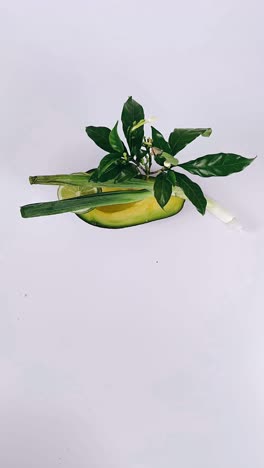 avocado, lime, and green onions arrangement