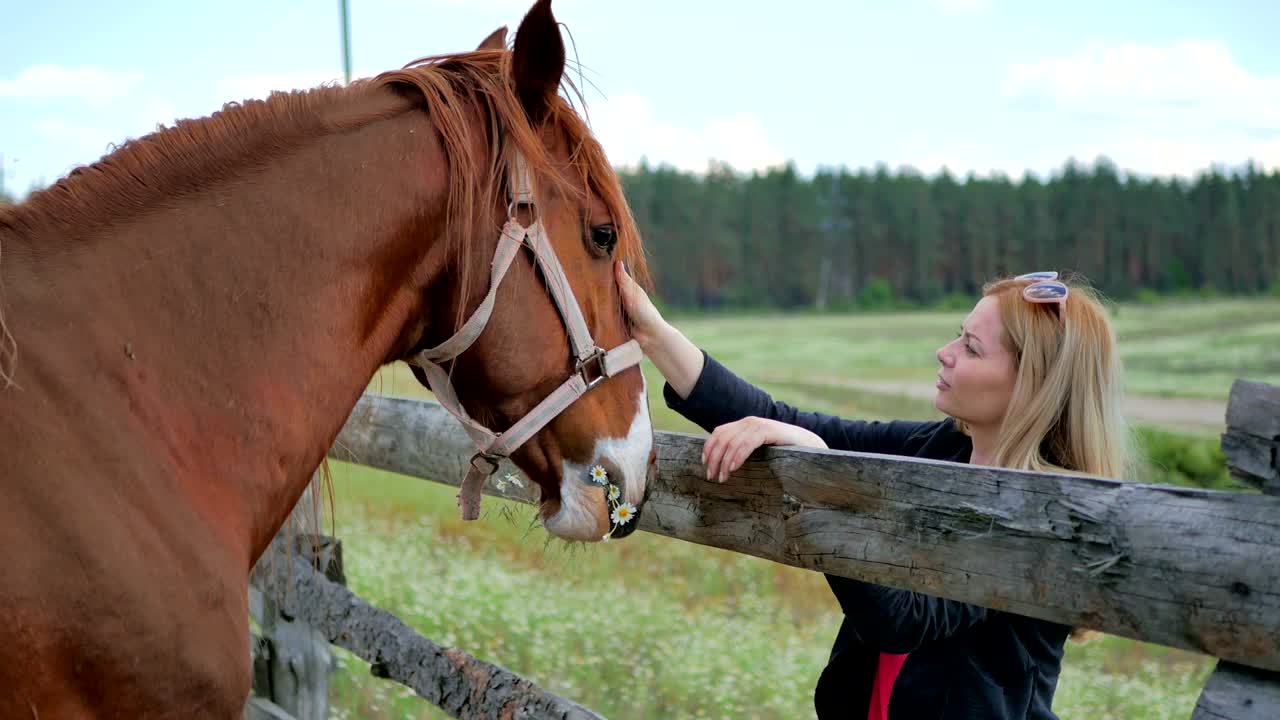 hermosa rubia alimenta al caballo con flores a través de la valla