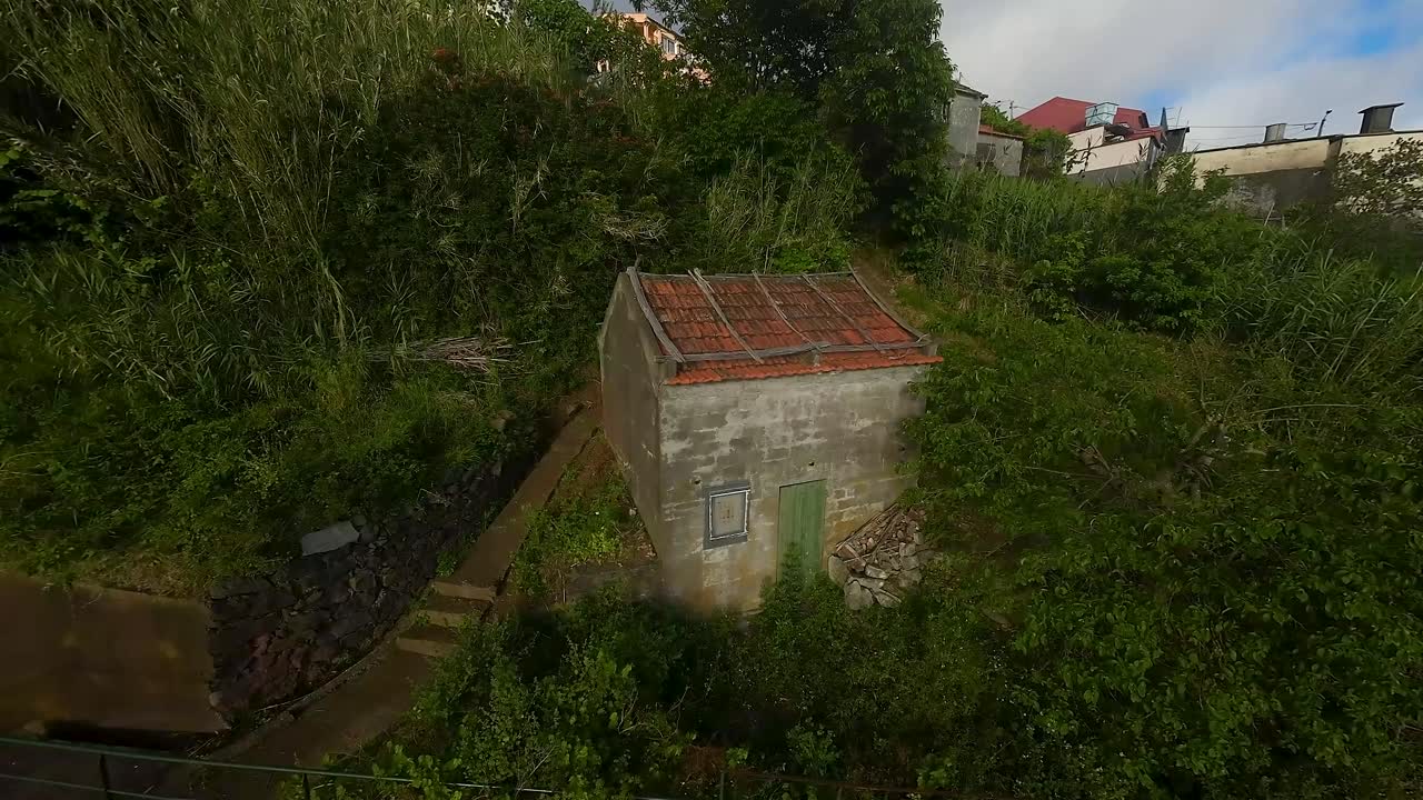 마데라의 언덕에 있는 초록색 나무로 인 빨간 타일 지붕을 가진 오래된 버려진 콘크리트 집