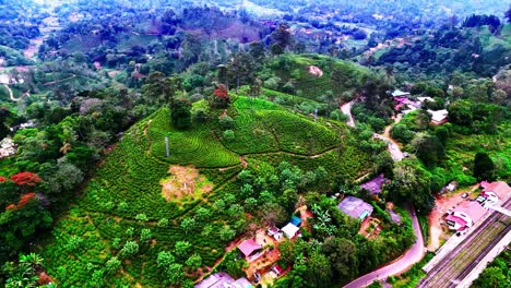 a vivid sri lankan hillside with tea plantations, scattered village homes, tropical greenery, and winding roads, blending agricultural activity with natural beauty.