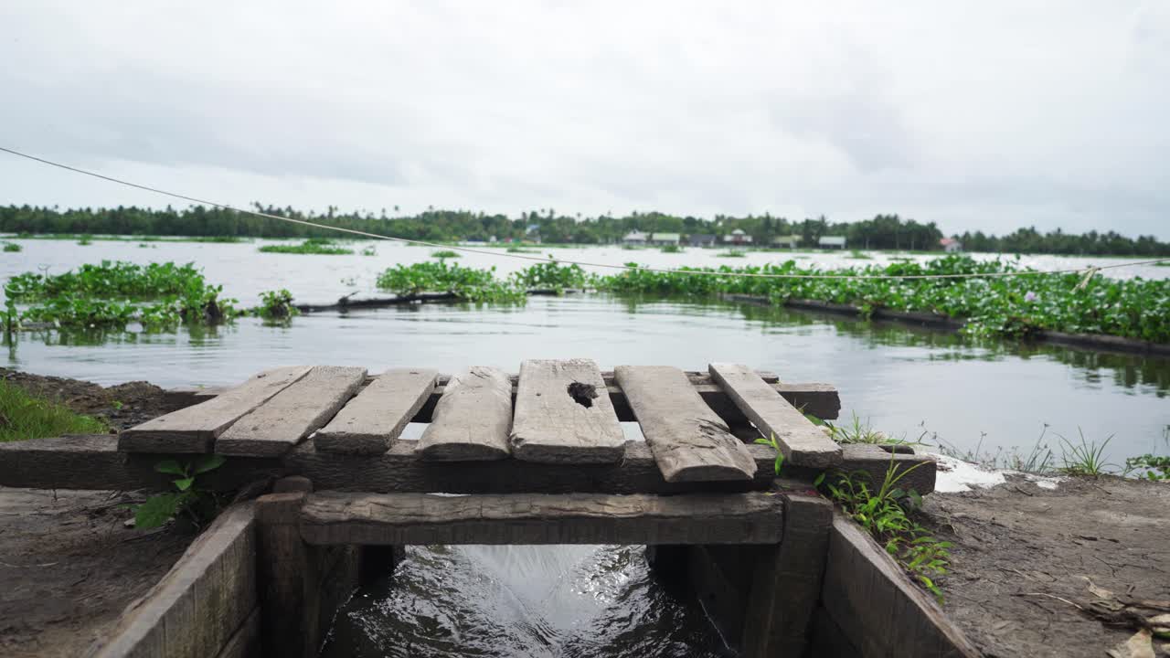 transporte de agua en la acuicultura, el agua fluye con fuerza a través de la compuerta, se dispara a través de la compuerta, el agua llega a la granja acuícola