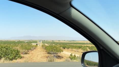 conduciendo carretera jardín de higos paisaje de irán temporada de verano campo huerto de frutas secas sol nueces secas dulces frutas deliciosas hacen pastel desierto en la fábrica de transporte la línea de cielo azul perspectiva vista