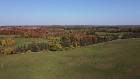 drone shot of rural farm, forest with fall colour foliage in caledon