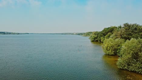 along the riverbank hd aerial view. drone flight along the riverbank. the trees on the bank of the river