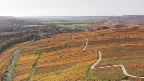 Drone-Aéreo-Atardecer-Sobrevuelo-Viñedos-Cerca-De-Épernay-Francia-Otoño