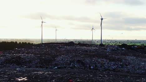 landfill at sunrise with spinning wind turbines and a flock of birds flying away