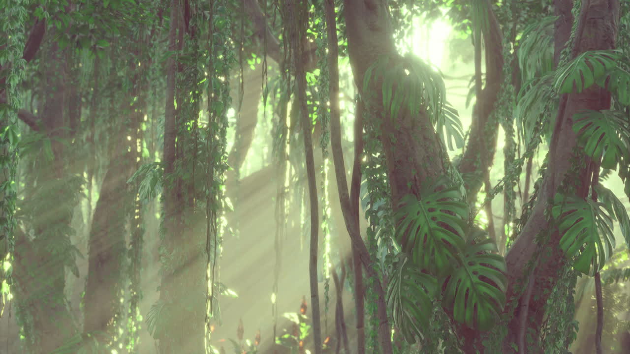 Lush rainforest with sunlight filtering through dense foliage in the daytime