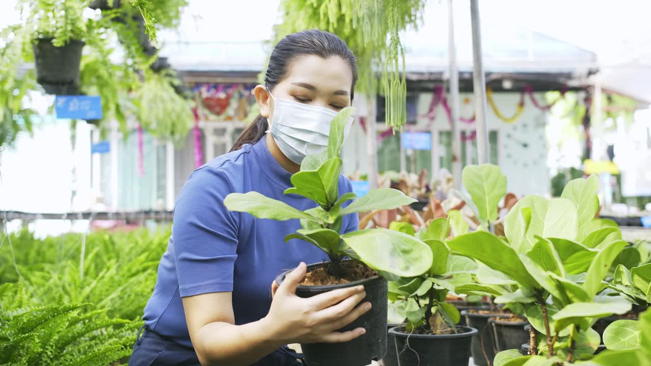 마스크를 쓴 아시아 여성이 바이올린 무화과 식물을 집어 들고 식물원에서 그것을 조사합니다.