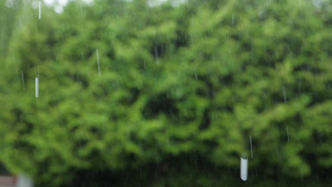 heavy summer rain in slow motion with blurry green foliage