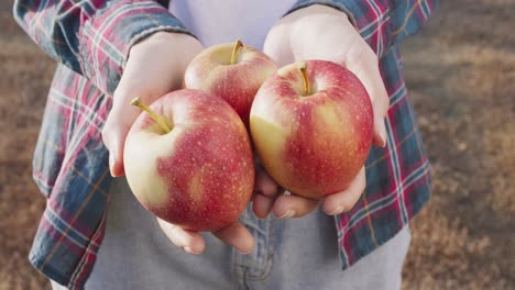 mujer con manzanas rojas frescas