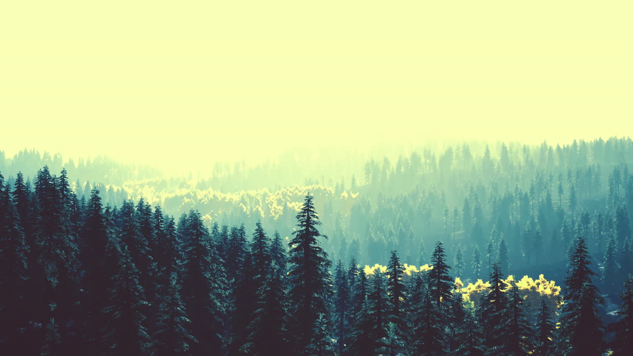 카르파티아 산맥 의 아름다운 자연 풍경