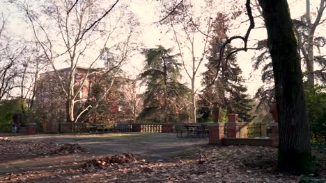 natural scene of a sunny day at the park during an autumn day with sunrays filtering trough trees and orange leaves on the ground moved by the wind