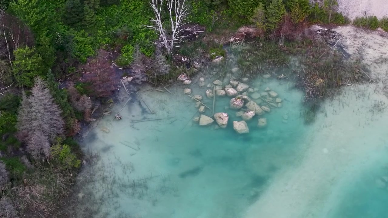 Una vivida caletta turchese con rocce calcaree sommerse accanto al margine di una fitta foresta verde
