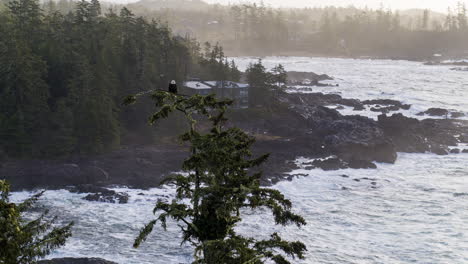 Video-De-Drones-Al-Atardecer-En-Ucluelet-Columbia-Británica,-Canadá-Sobre-El-Océano-Y-El-Bosque