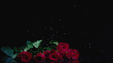 red roses bouquet on black background