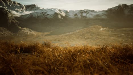 hierba seca y montañas cubiertas de nieve en alaska