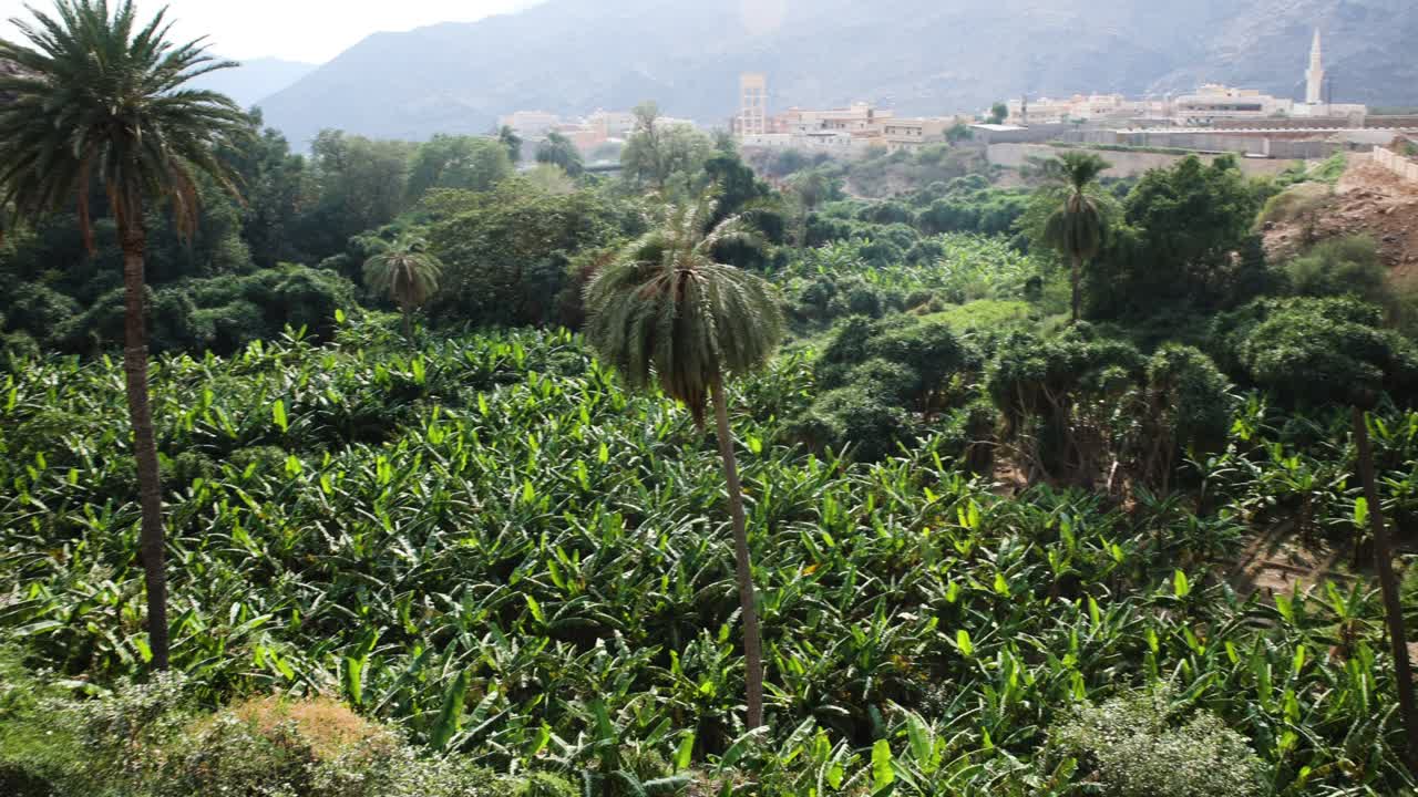 Landscape view of gardens plantation at Zee ain village in Saudi Arabia destination