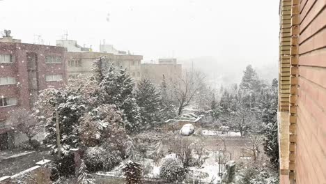 Kiefernwald-In-Der-Stadt-Im-Winter,-Schnee,-Starker-Schneefall-Im-Stadtgebiet-Von-Teheran,-Iran,-Backstein-Architekturdesign,-Straßenlaterne,-Parken-Von-Autos,-Bedeckt-Von-Kaltem-Wüstenklima-Im-Nahen-Osten,-Menschen,-Die-Sicher-Leben