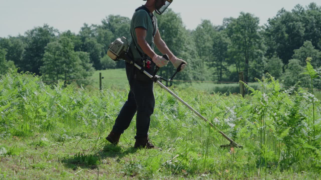 Ouvrier défrichant une haute végétation avec une débroussailleuse thermique en pleine campagne, vue de dos.