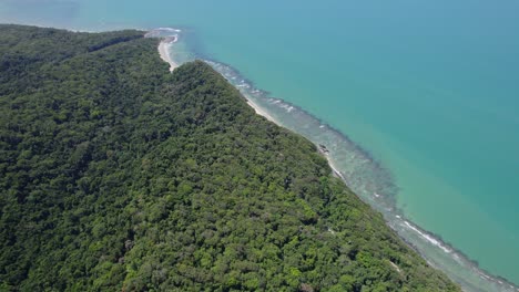 lush tropical mountains at the sea edge of daintree national park, cape tribulation, north queensland, australia