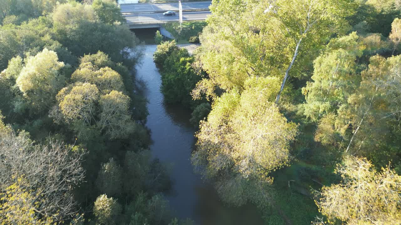 vuela sobre el agua de alto nivel del río thet con densa vegetación en norfolk, inglaterra