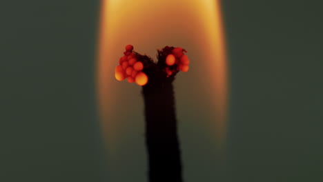 studio macro shot: candle wick split on top, burning and flame flickers by wind movement