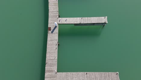 Drone-shot-looking-straight-down-at-empty-boat-docks-in-marina