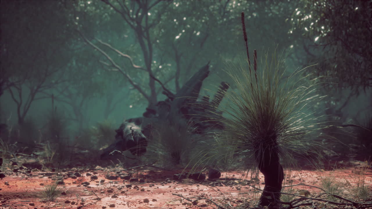 식물 이 있는 안개 숲 풍경