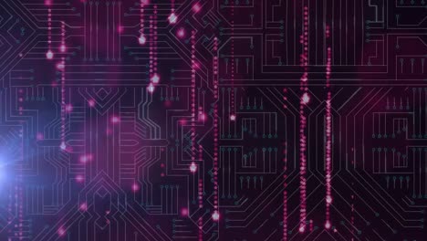 animation of data processing on glowing computer circuit board