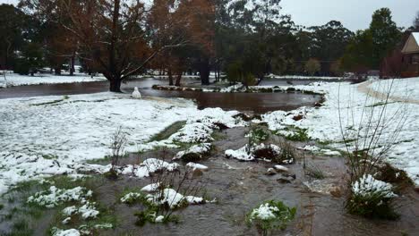 Agua-Que-Fluye-A-Través-De-Stony-Creek-Hacia-El-Lago-En-Trentham-Después-De-La-Nieve