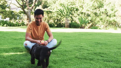 asian man sitting on grass, smiling while playing with dog in park, copy space