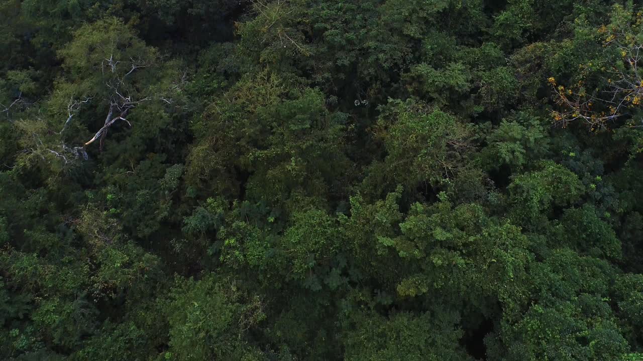 vista aérea del jardín de rocas morogoro-16
