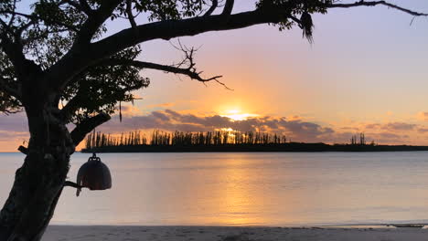 Entspannender-Blick-Auf-Den-Sonnenuntergang-Vom-Strand-Der-Insel-Der-Kiefern,-Kleine-Insel-Der-Säulenkiefern-In-Der-Silhouette