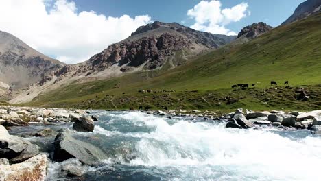 flowing-rivers-in-the-valley-of-Kyrgyzstan