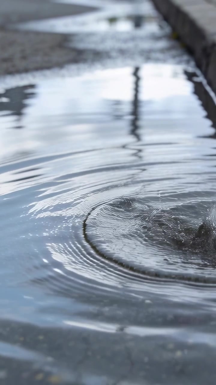 Vertical video: Falling droplet hitting puddle at curb during drizzle, forming crown and ripples