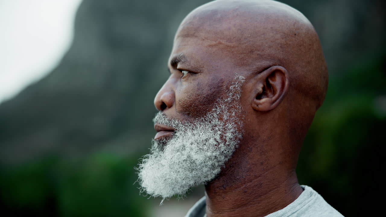 Portrait of a Bald Man with a White Beard
