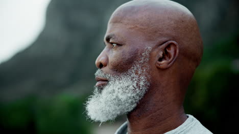 portrait of a bald man with a white beard