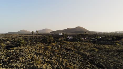 Tropical-landscape-with-palm-trees-and-mountains-in-Lanzarote-island,-aerial-fly-forward-view