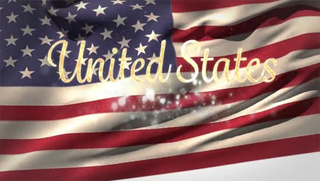 animation of united states text with fireworks over american flag