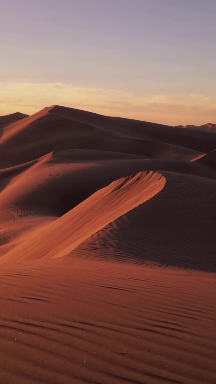 Video verticale: Telecamera che si inclina portando in vista la cresta di una duna tra le dune al tramonto, rivelando le increspature.