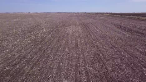 low aerial view flies quickly over spring cropland with a fence