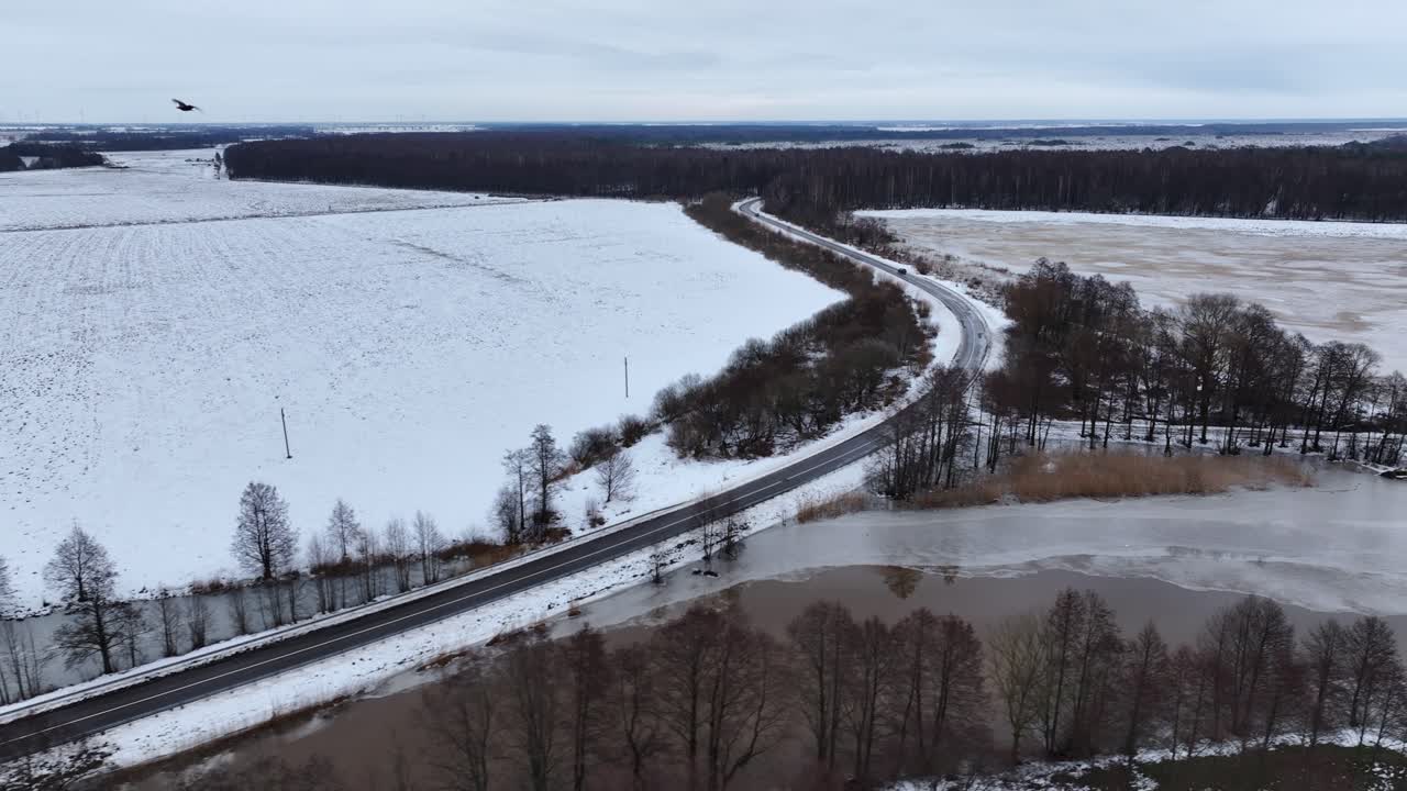 Panoramic view of an asphalt road with cars driving, birds of prey flying, wintertime. Baltic states Europe.