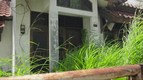 overgrown grass on abandoned house building during sunny day