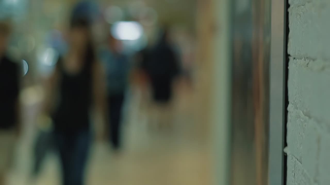 쇼핑 센터를 돌아다니는 사람들 5