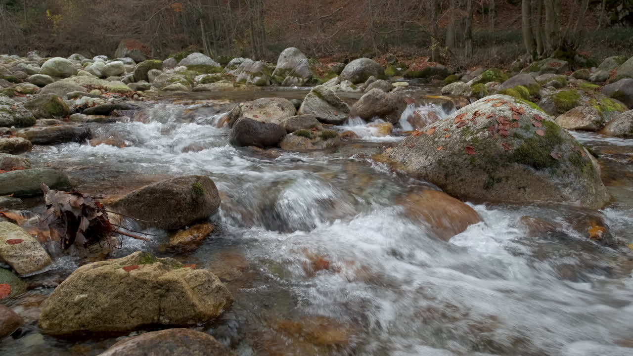 Fiume autunnale in una foresta montana con alberi dal fogliame giallo e rosso.