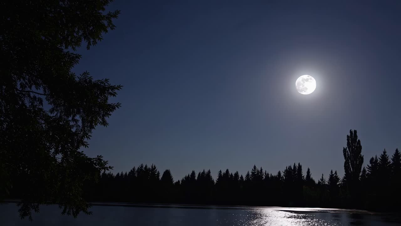 Una serena scena video notturna con la luna piena che si riflette su un lago, ripresa da un angolo basso