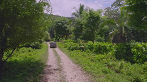drone shot of car driving on rural road in the jungle