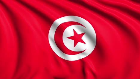 flag of tunisia with fabric structure in the wind (loopable)