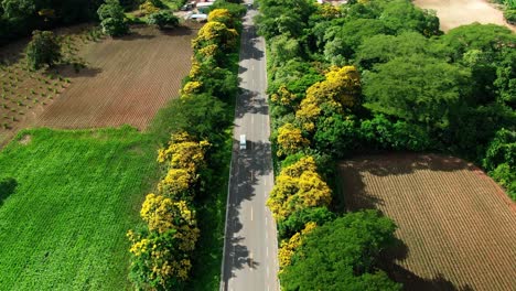 beautiful aerial shoot of road in between colorful trees and croplands